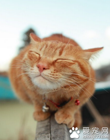 我准备好了，亲我吧~