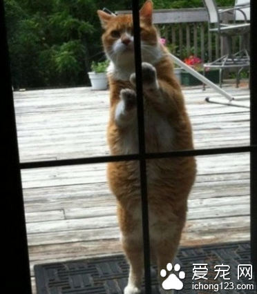 老婆，再给我一次机会吧