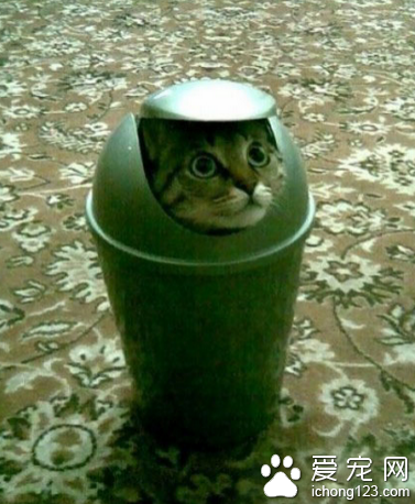 这个应该不会被发现了吧