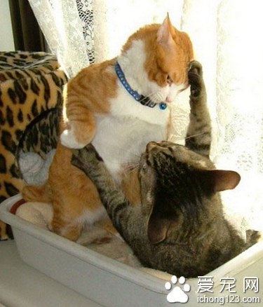 居然敢抓老娘的头发