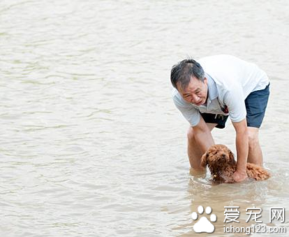 广西开启“桑拿”模式 市民带着宠物狗在柳江河戏水降温