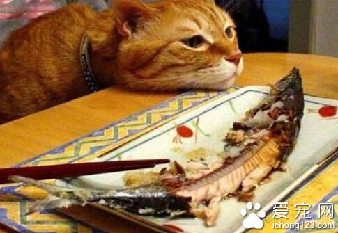 失恋了，美味当前我也没兴趣啊