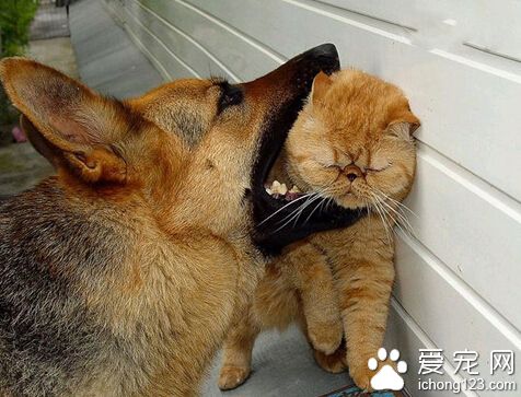 我早就不想活了，随便你啦