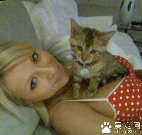 幸福的猫咪啊，你令天下男人羡慕死了