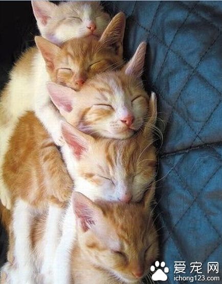 我们是相亲相爱的一家人哪