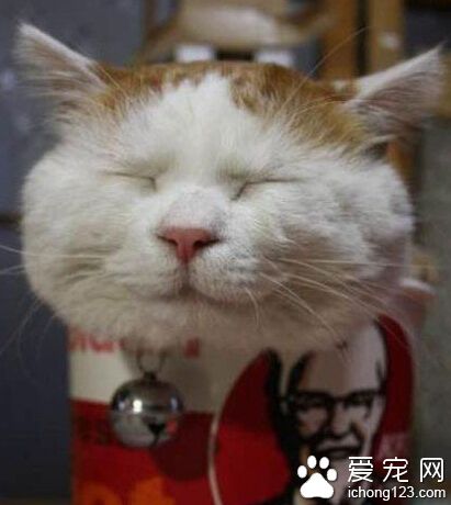 陶醉的至高境界