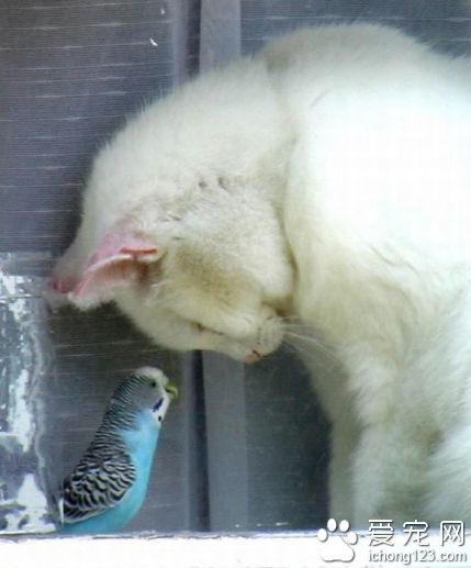 大哥，我太崇拜你的睡姿了