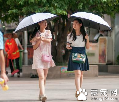 广西开启“桑拿”模式 市民带着宠物狗在柳江河戏水降温