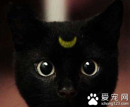 这里居然还有个包青天