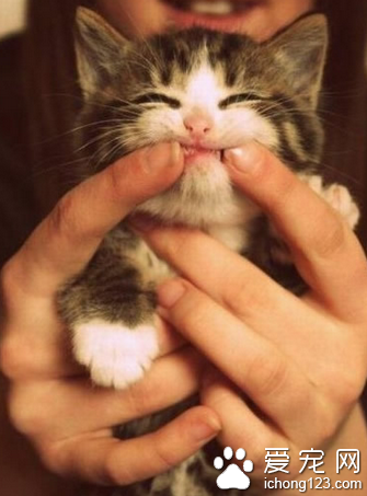 生活再苦再累，请在心里对自己说：给老子笑。    