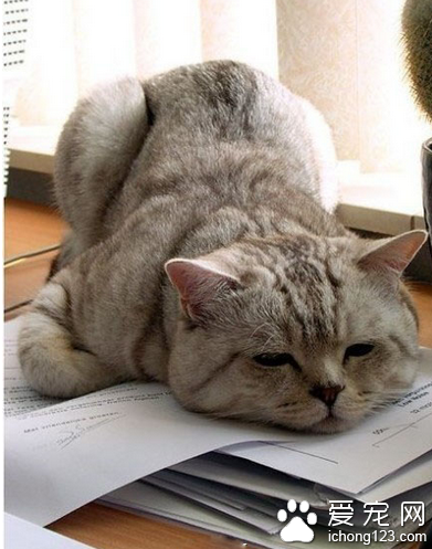 实在是看不下去了