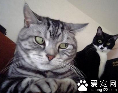 老板，我上班时不会再玩游戏了