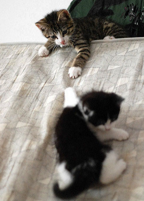 小妹，有哥在不要怕，把手給我