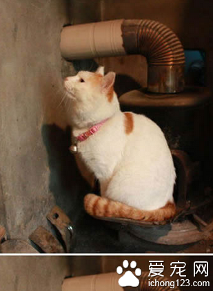 天冷啊！就想取个暖，结果変了炭屎叔了