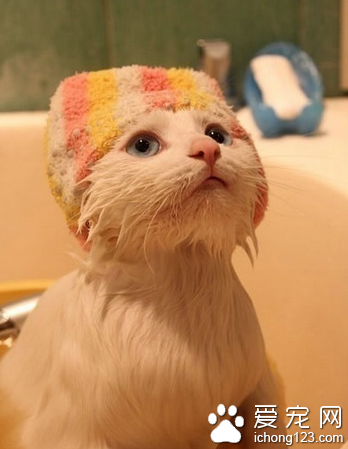 天冷了，连洗澡也需要很多勇气！