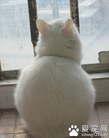 经常坐着，屁股会变大！