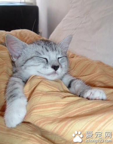 甜蜜的梦啊谁都曾经有过