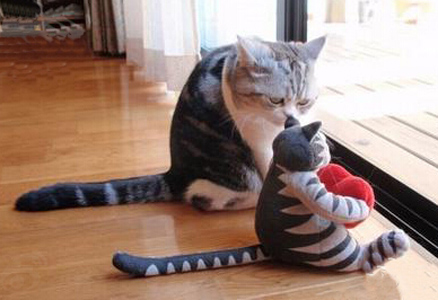 给你说半天话了，你到是回一句啊