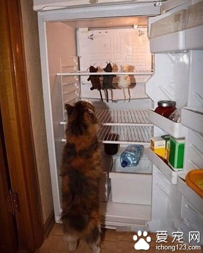 看看还有多少存货