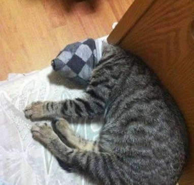 心很累，不想多说了