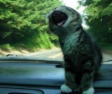 一路高歌，伴你同行