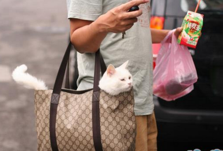 尼玛，这货这么肥么