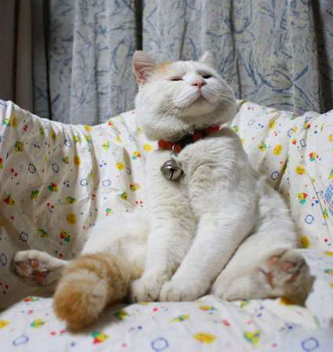 哼！我就是不要去