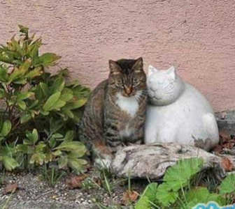 尼玛，这哪一点跟老子很像了？