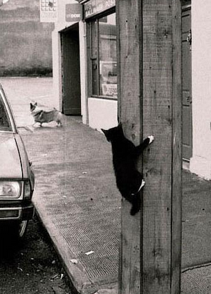 今天跟踪一下老公看他去干什么