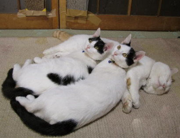 多么无私的友谊