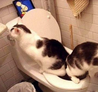 蹲位不够了，咱挤挤