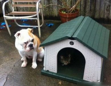 用眼神传递着内心的不满