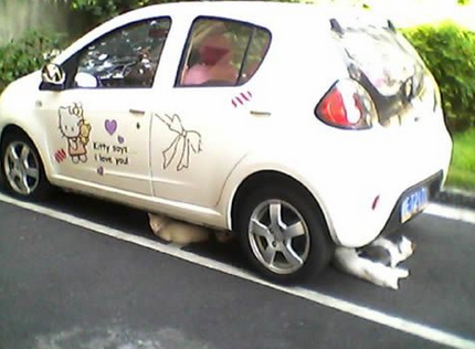 喵星人避暑山庄