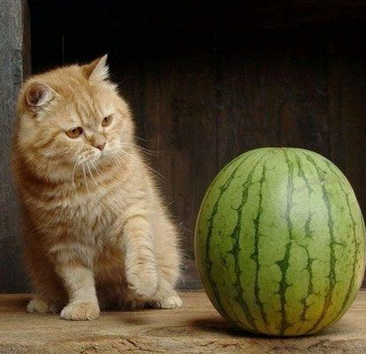 喂，站半天了，你怎么都不说话