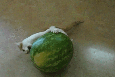 主银，这个东东怎么吃