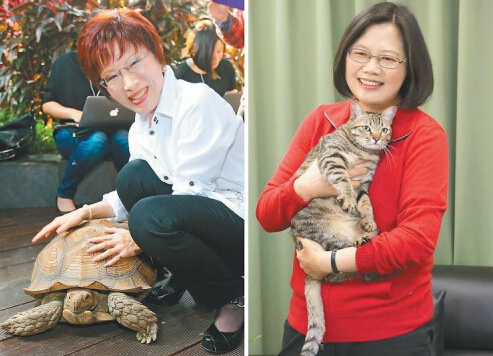 台湾“大选” 宠物也要比一比 他们与宠物的关系是怎么样的呢