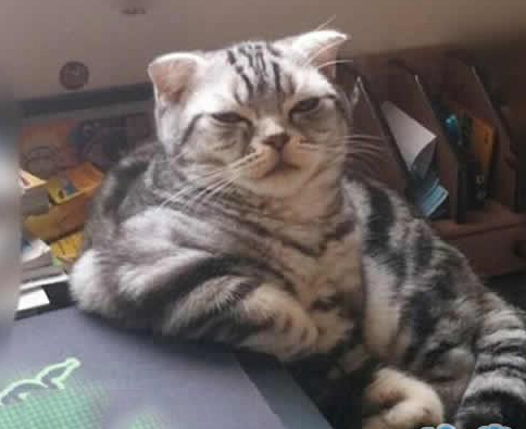 服务员，我点的菜还没好么，后来的都吃上了