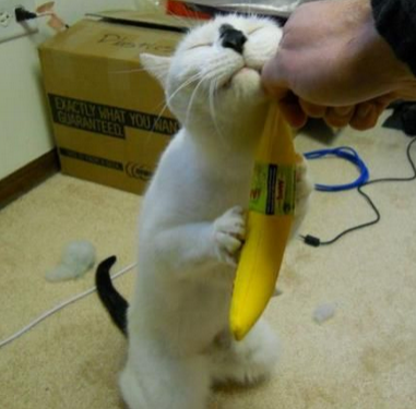 这是偶的，就不给你