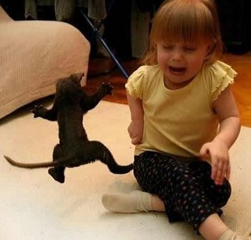 张牙舞爪的猫咪把娃娃吓哭了