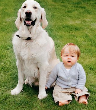 小区9条宠物狗被毒死 狗主人疑心有人厌狗报复