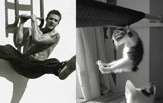 猛男和猫咪才是真爱