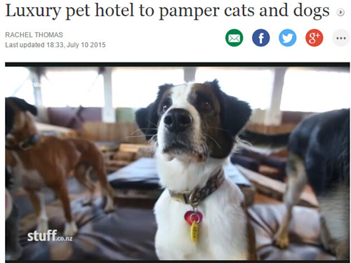 新西兰汉密尔顿豪华宠物酒店 宠物享受到顶级的服务