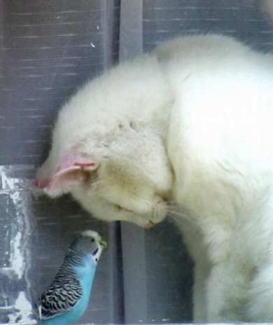 大哥，我太崇拜你的睡姿了