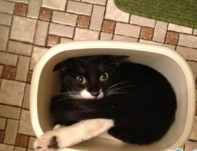 看毛看，还不赶紧拉老子出来