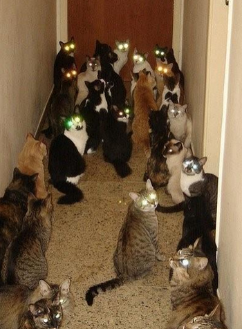 回家一看，吓死了