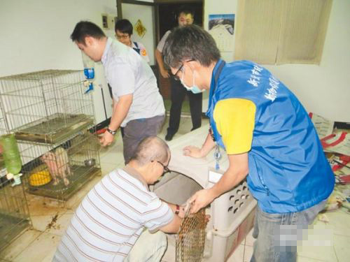 为了让消费者买狗 宠物被割声带仅剩繁殖