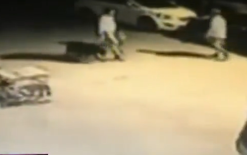 济南一男子饲养8年的爱犬被狗贩偷走 在宠物市场失而复得