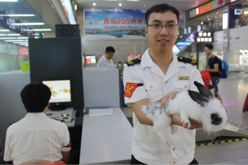 年轻男子带宠物兔去威海 过不了安检扔下就走