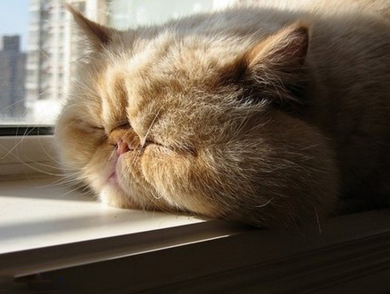 没有美眉喜欢我，烦啊