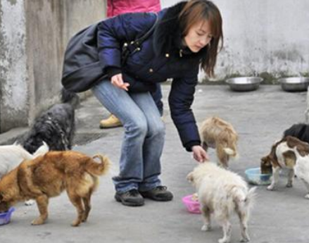 疯狗连咬十余人被猎杀 警方提醒散步避开宠物